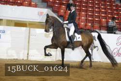 15BUCK_01624 proof