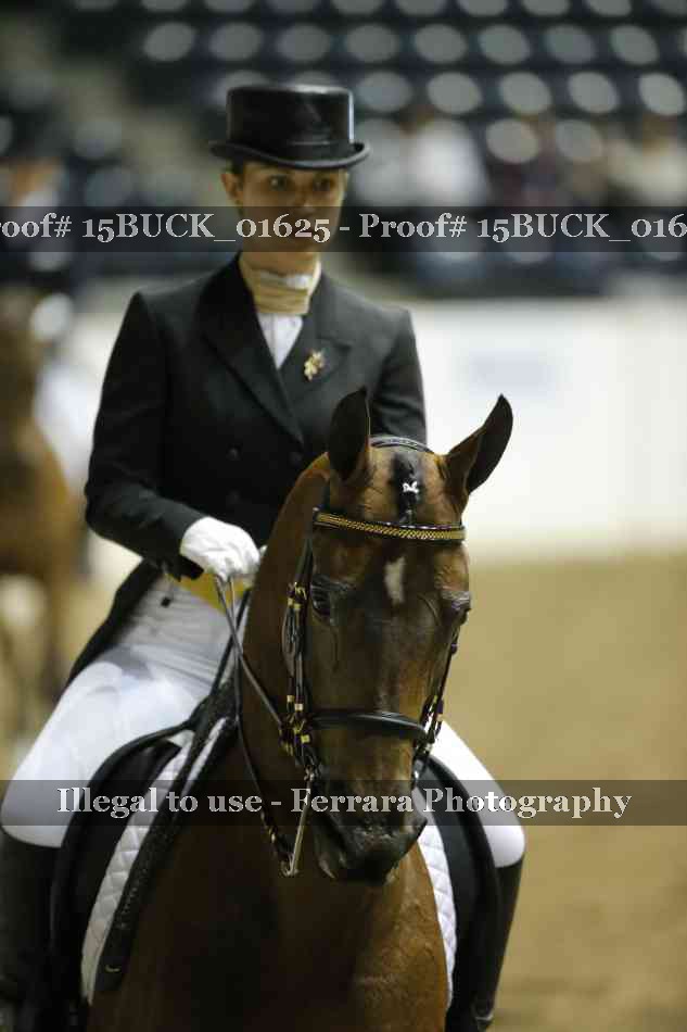 Proof 15BUCK_01625