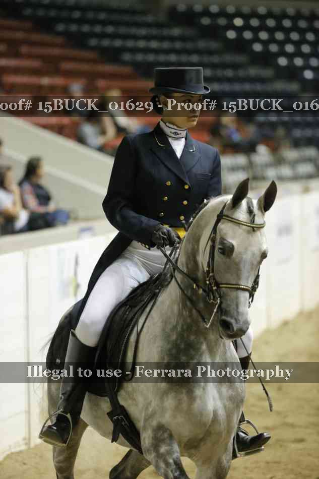 Proof 15BUCK_01629
