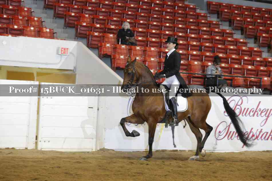 Proof 15BUCK_01631