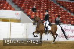 15BUCK_01631 proof