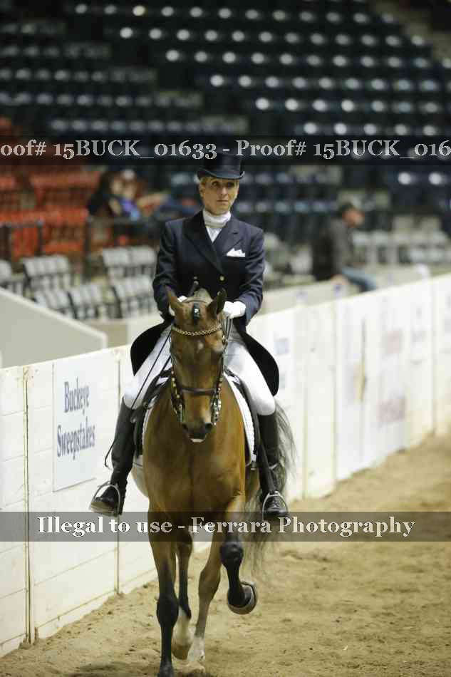 Proof 15BUCK_01633