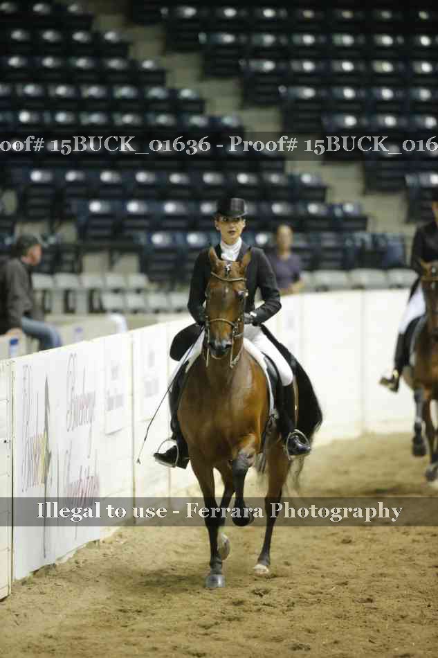 Proof 15BUCK_01636