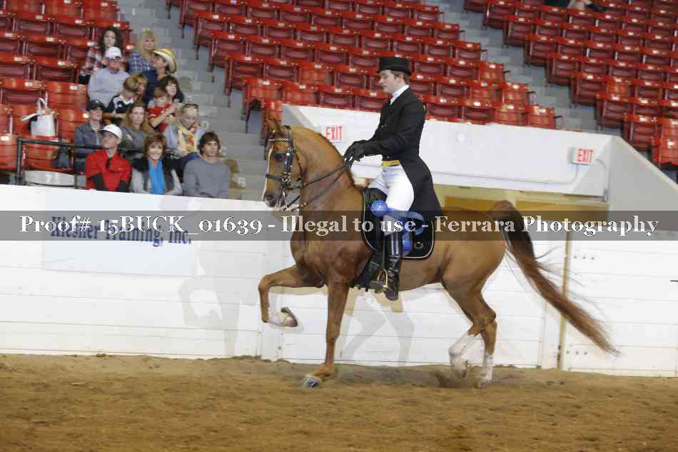 Proof 15BUCK_01639