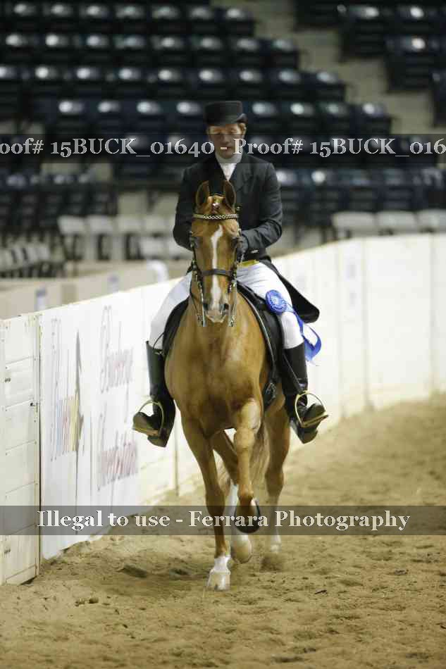 Proof 15BUCK_01640