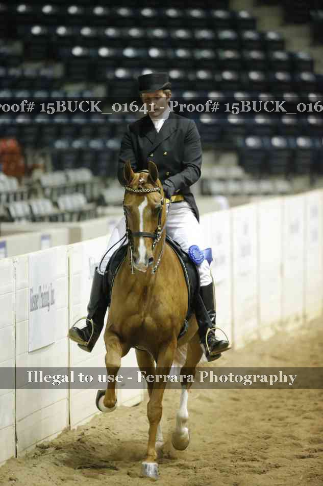 Proof 15BUCK_01641