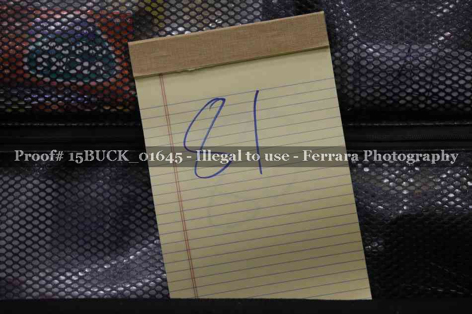 Proof 15BUCK_01645