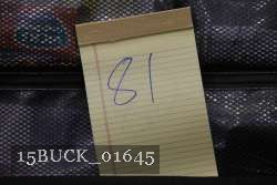 15BUCK_01645 proof
