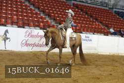 15BUCK_01646 proof