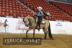 15BUCK_01647 proof