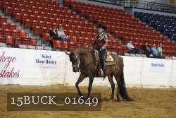 15BUCK_01649 proof