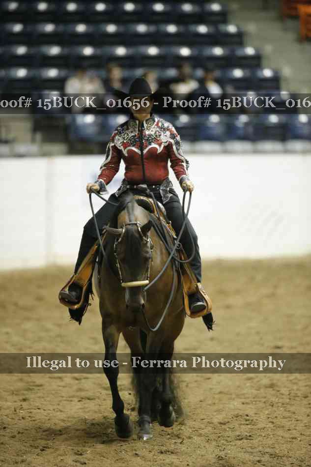 Proof 15BUCK_01656
