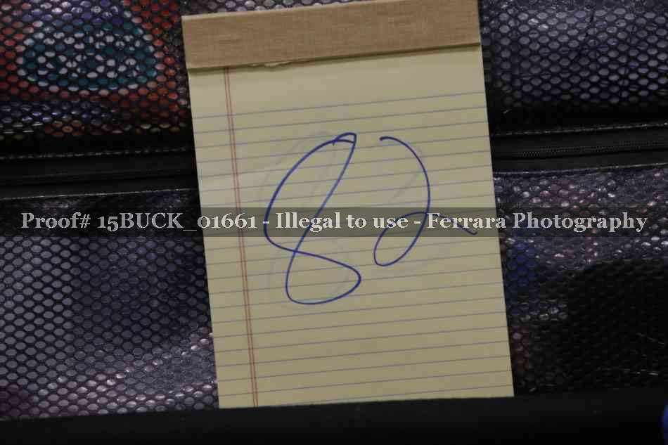 Proof 15BUCK_01661