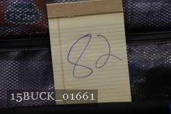 15BUCK_01661 proof