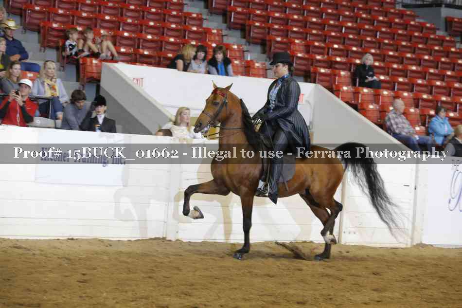 Proof 15BUCK_01662