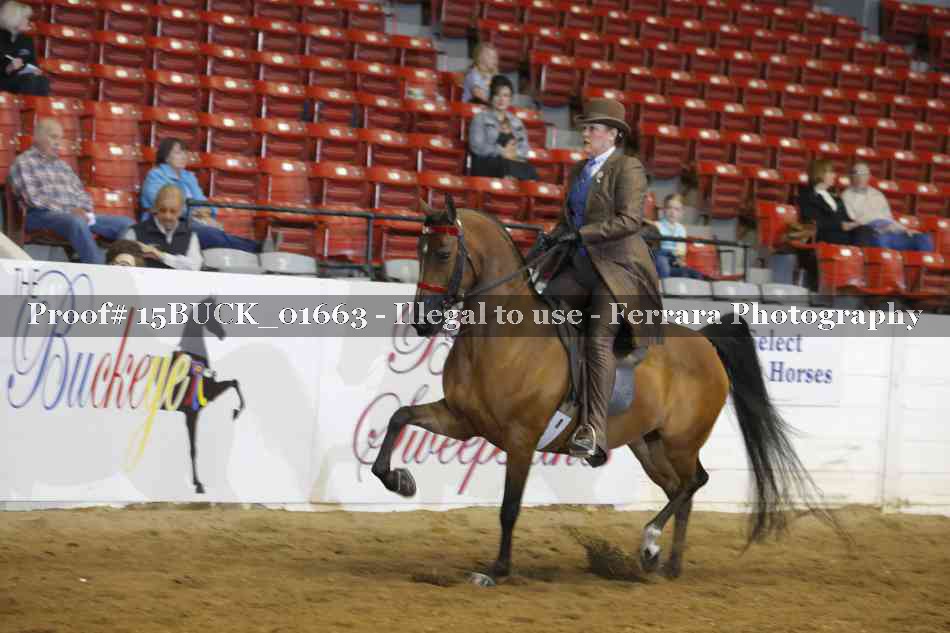 Proof 15BUCK_01663