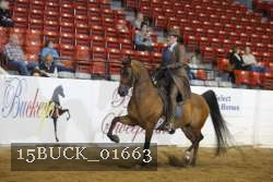 15BUCK_01663 proof