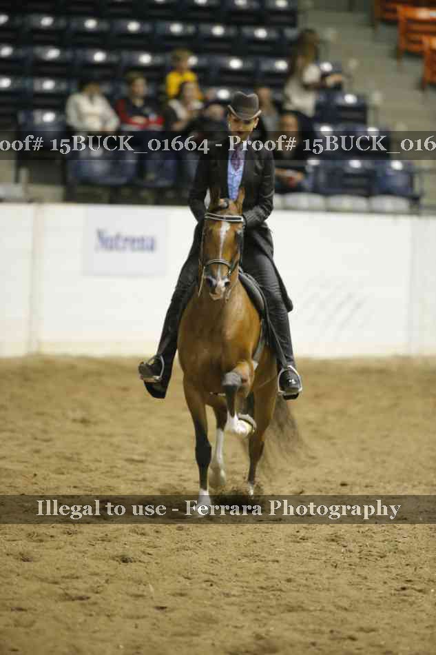 Proof 15BUCK_01664