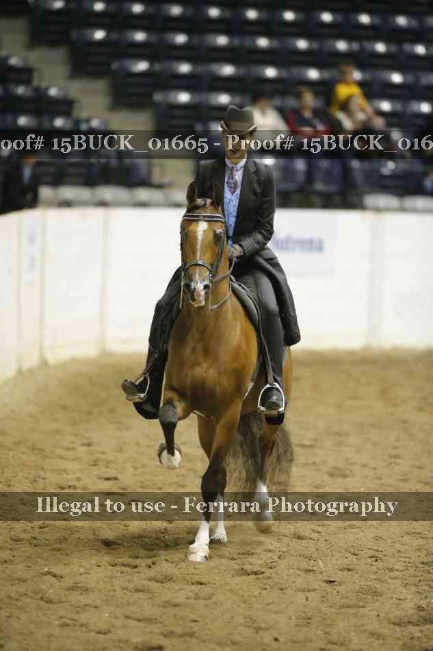 Proof 15BUCK_01665