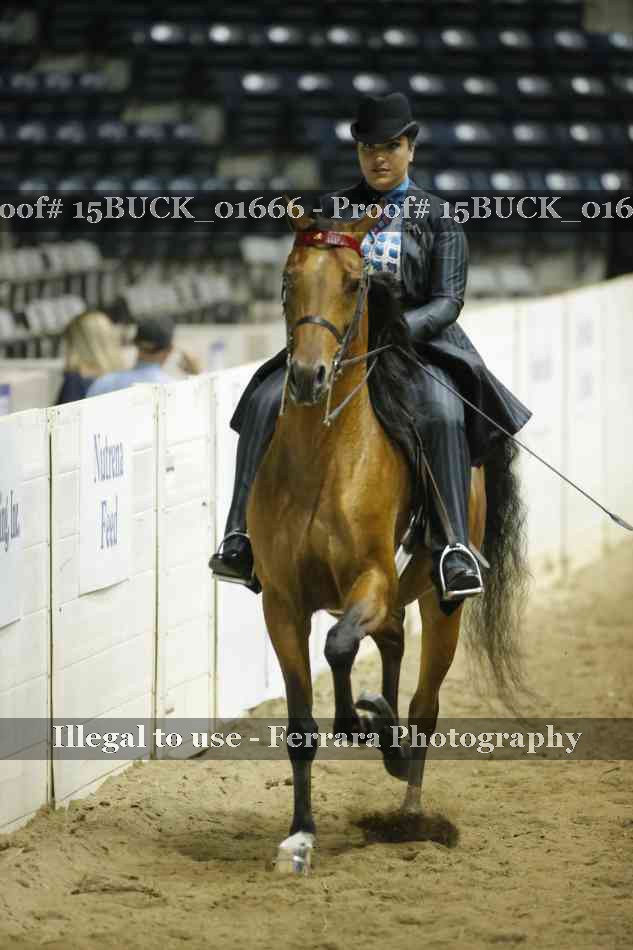 Proof 15BUCK_01666