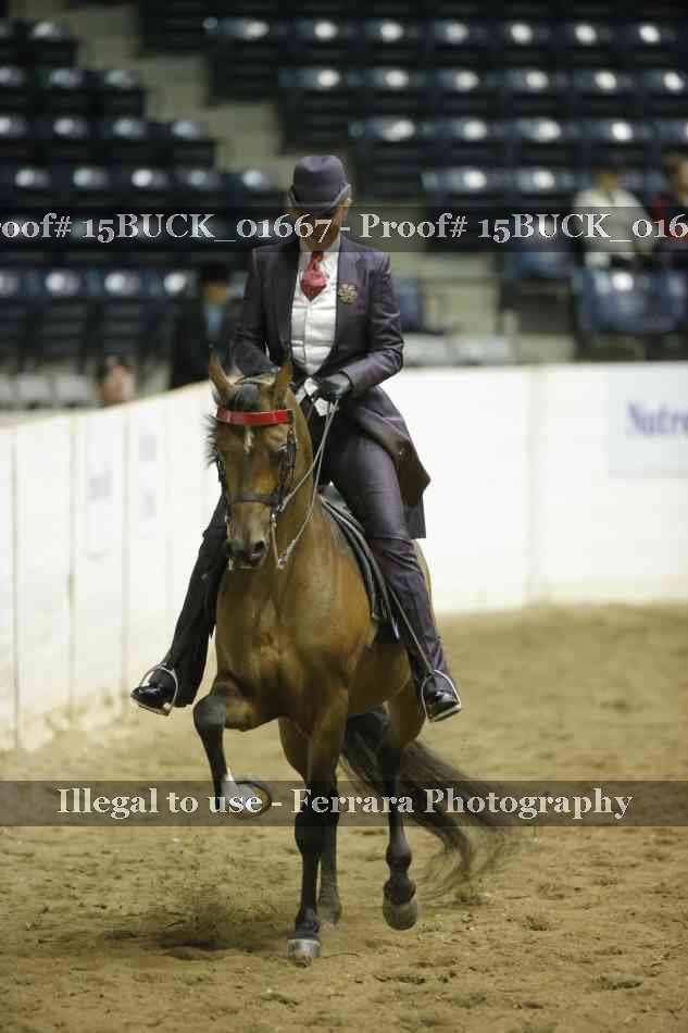 Proof 15BUCK_01667