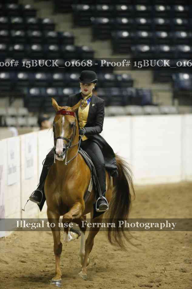 Proof 15BUCK_01668