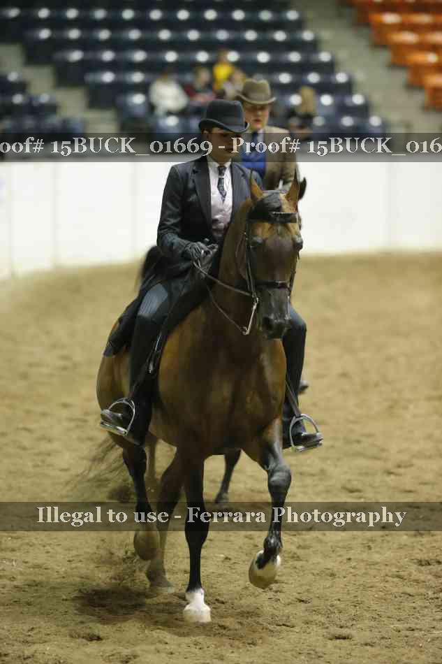 Proof 15BUCK_01669