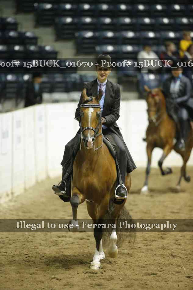 Proof 15BUCK_01670