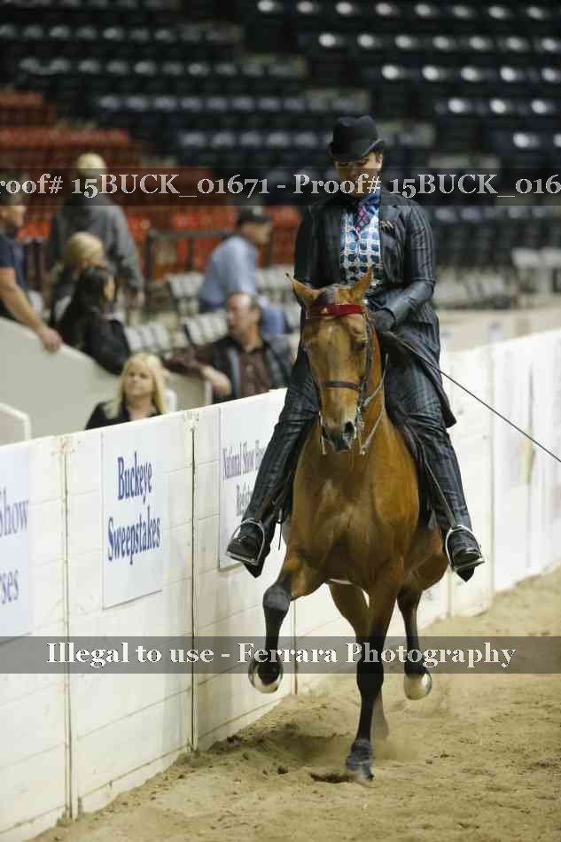 Proof 15BUCK_01671