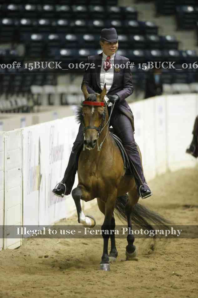 Proof 15BUCK_01672