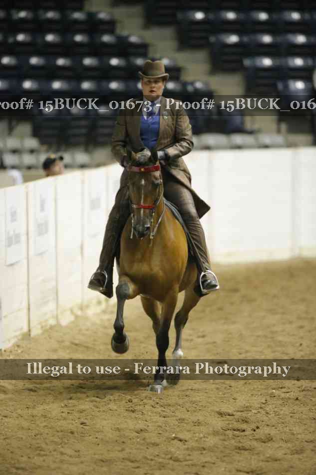 Proof 15BUCK_01673