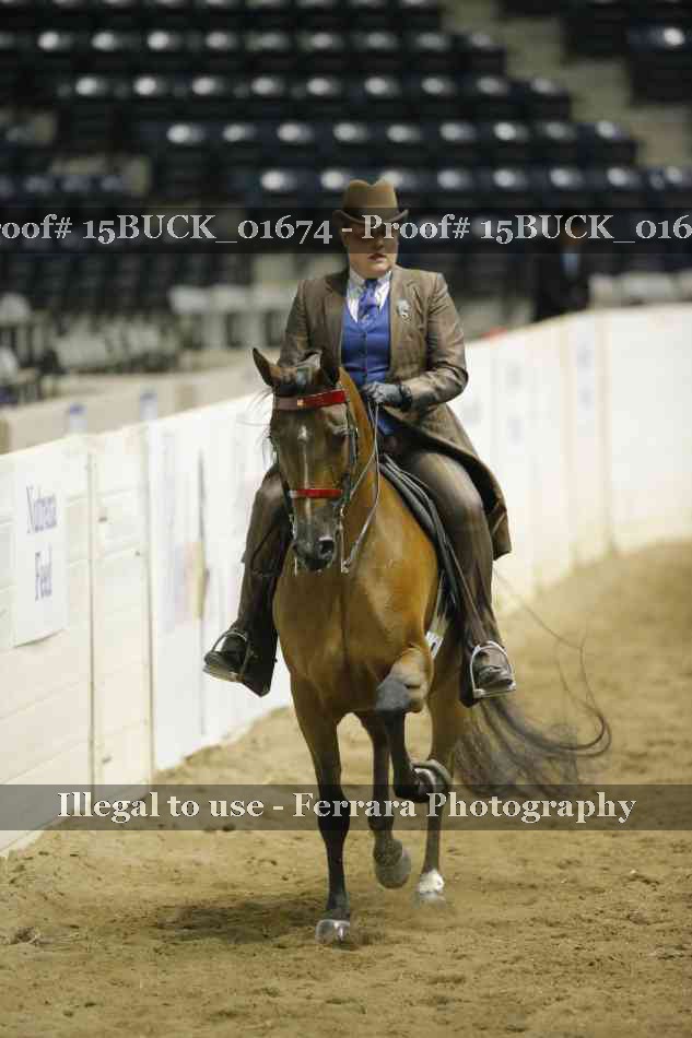 Proof 15BUCK_01674