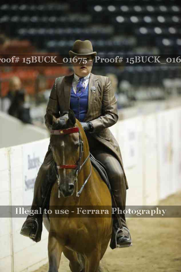 Proof 15BUCK_01675