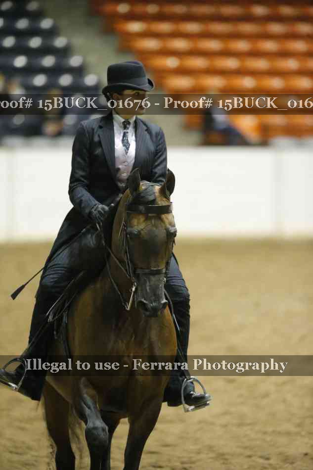 Proof 15BUCK_01676