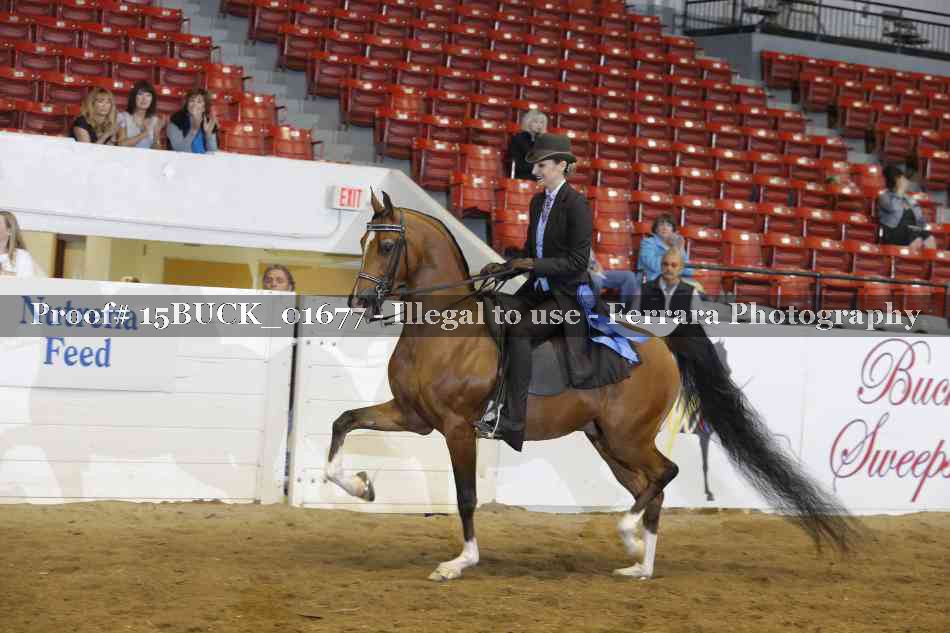 Proof 15BUCK_01677