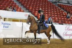 15BUCK_01677 proof