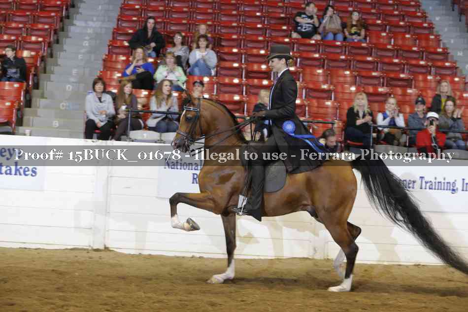 Proof 15BUCK_01678