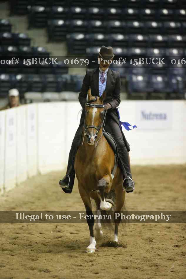 Proof 15BUCK_01679