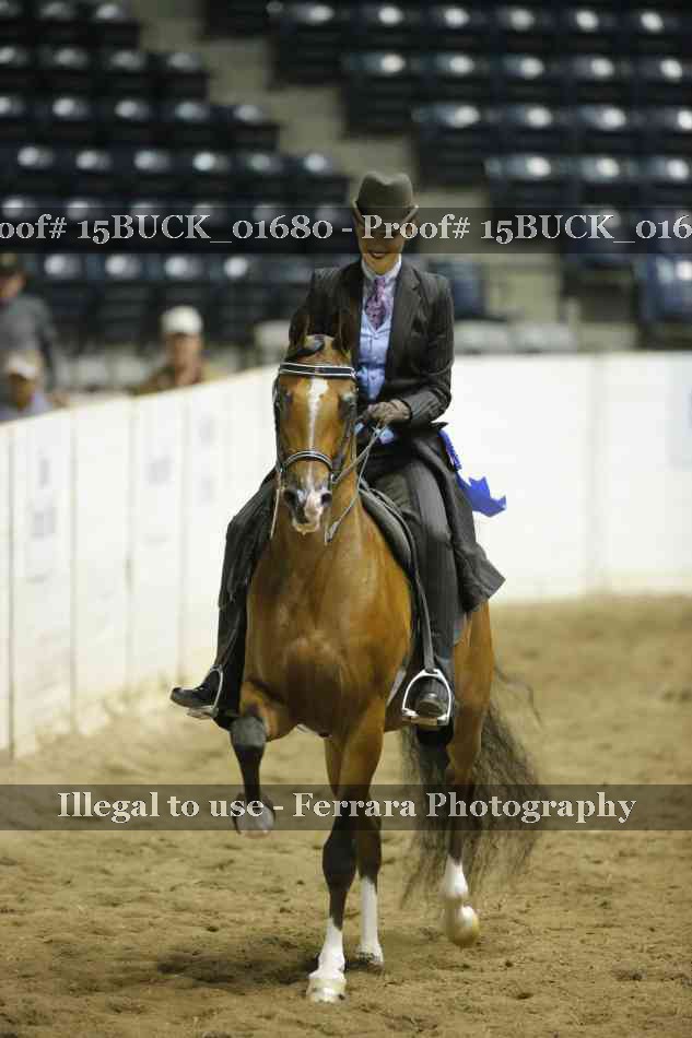 Proof 15BUCK_01680