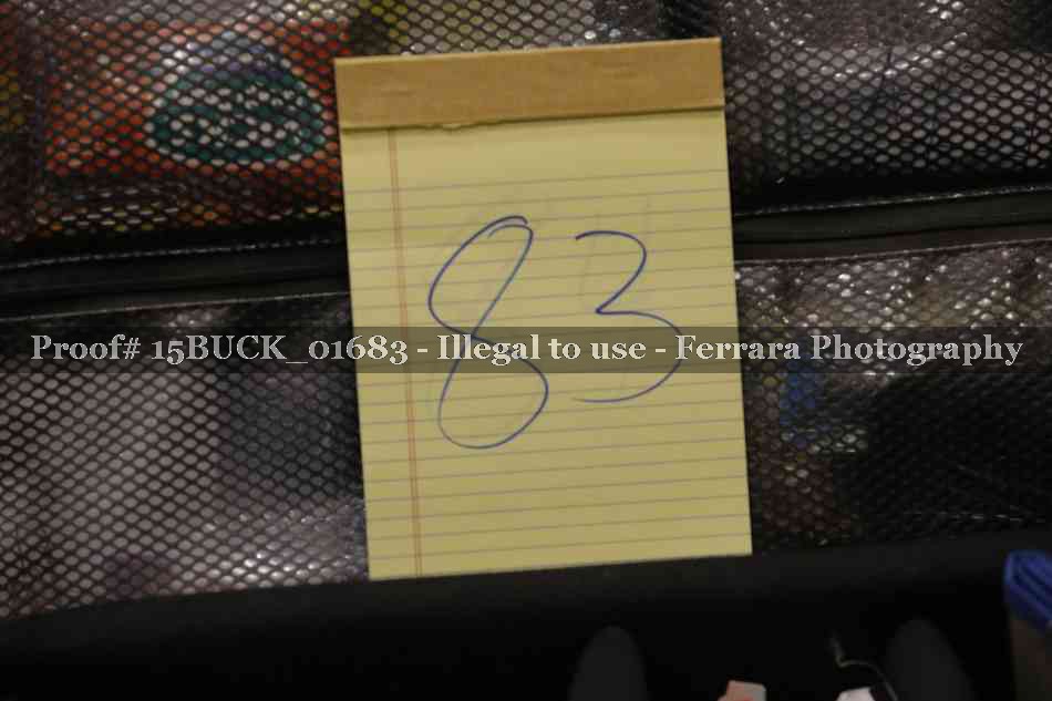 Proof 15BUCK_01683