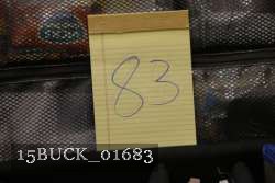 15BUCK_01683 proof