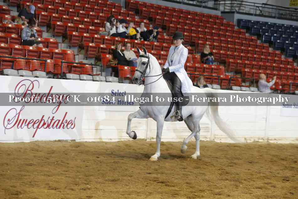 Proof 15BUCK_01684
