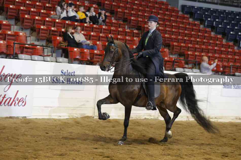 Proof 15BUCK_01685