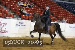 15BUCK_01685 proof