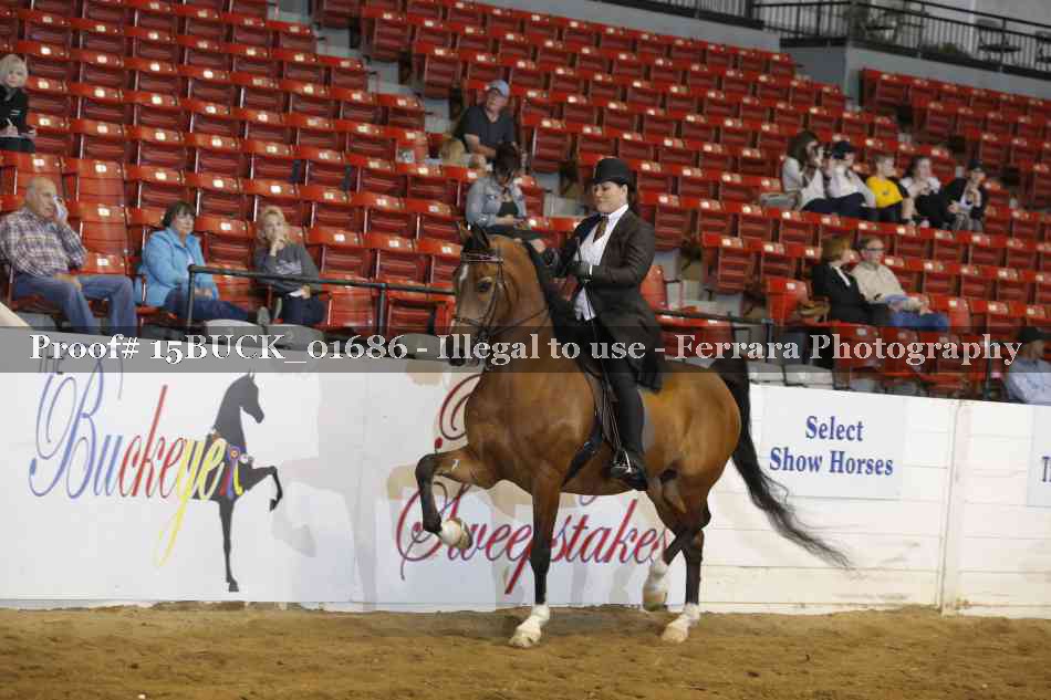 Proof 15BUCK_01686