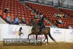 15BUCK_01687 proof