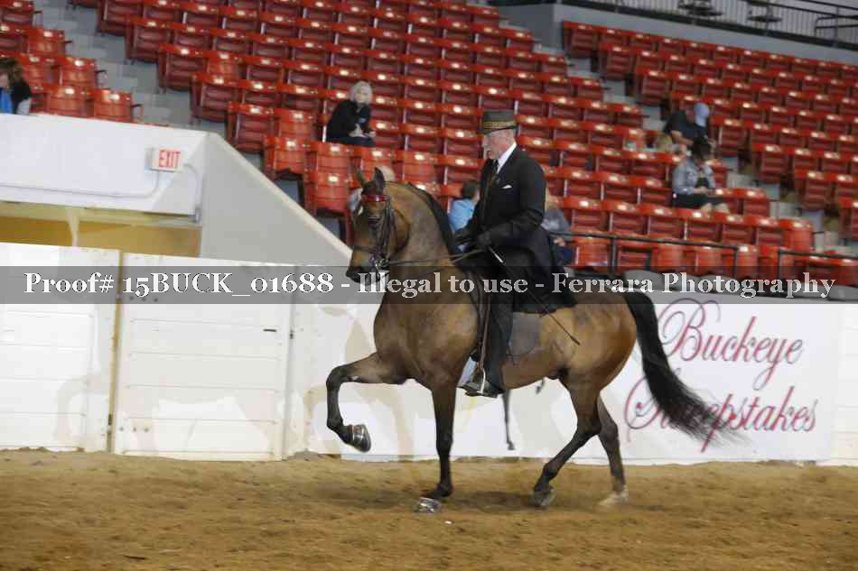 Proof 15BUCK_01688