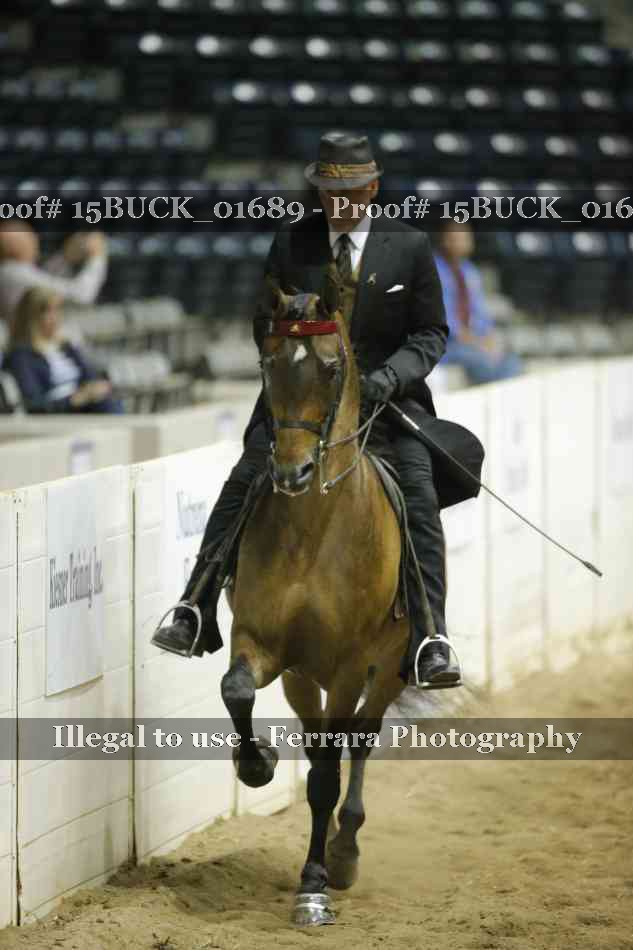 Proof 15BUCK_01689
