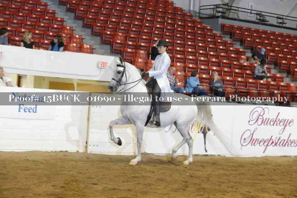Proof 15BUCK_01690