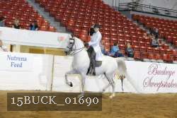 15BUCK_01690 proof